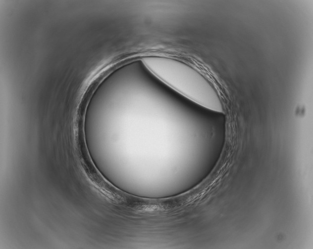 X0000096490344200801241215