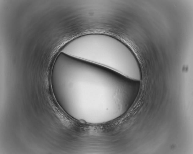 X0000096490345200801241215