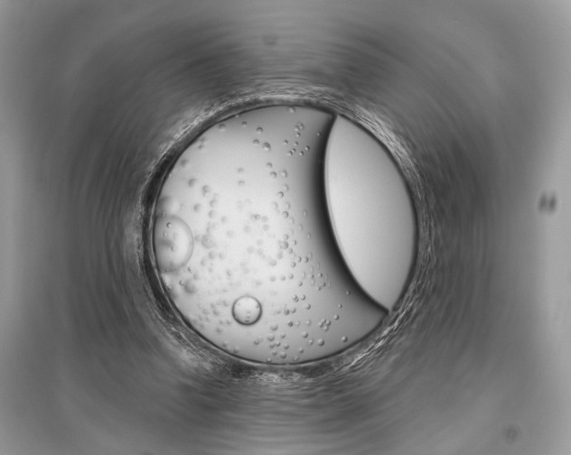 X0000096490346200801241215