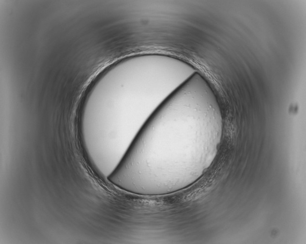 X0000096490347200801241215