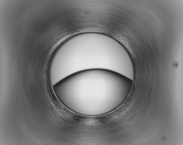 X0000096490348200801241215