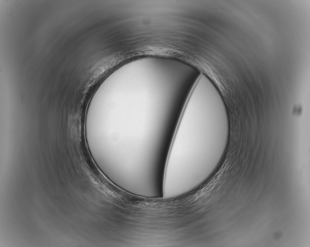 X0000096490349200801241215