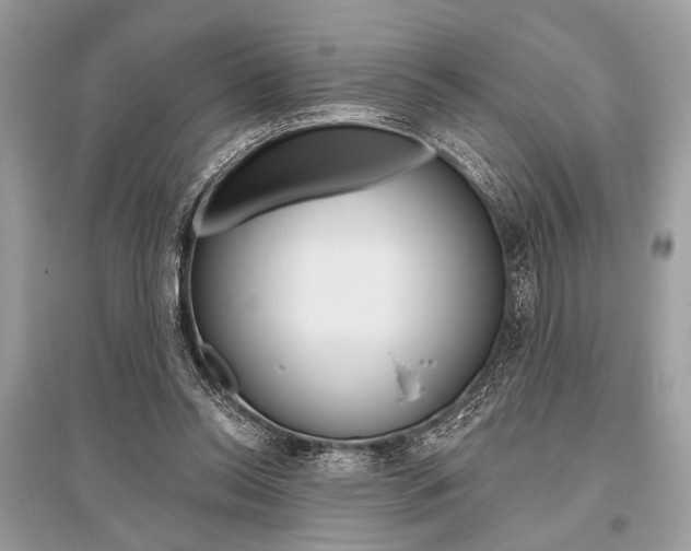 X0000096490350200801241215