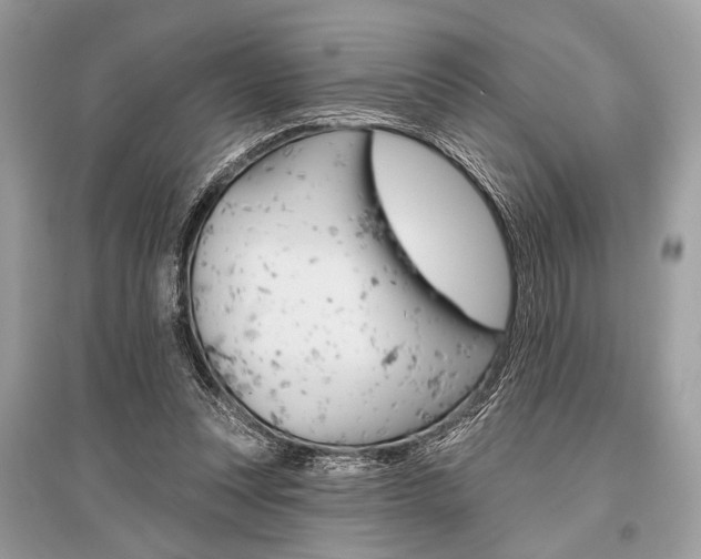 X0000096490351200801241215