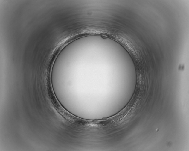X0000096490352200801241215