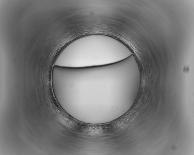 X0000096490353200801241216