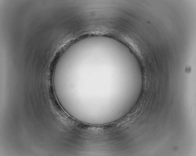 X0000096490354200801241216