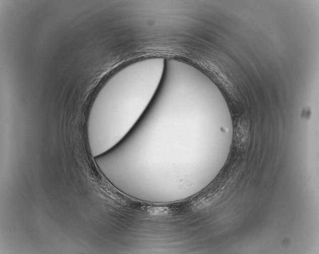 X0000096490355200801241216