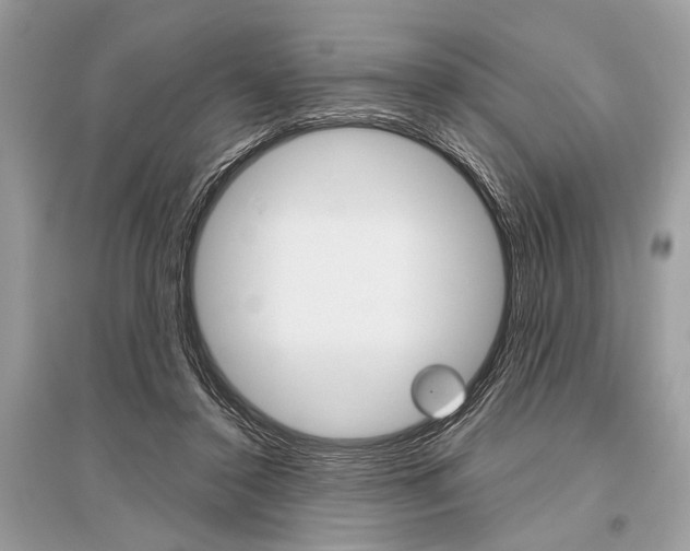 X0000096490356200801241216