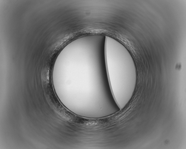 X0000096490358200801241216