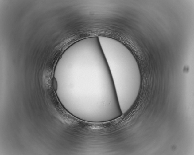 X0000096490360200801241216