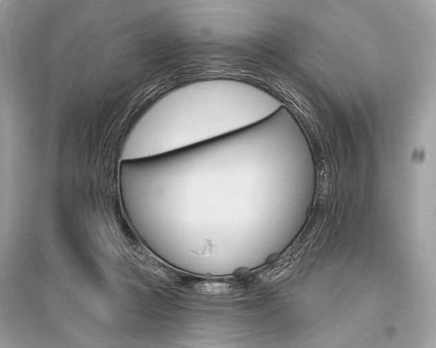 X0000096490361200801241216