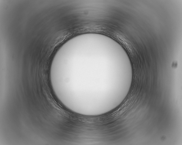 X0000096490362200801241216