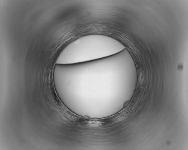 X0000096490363200801241216