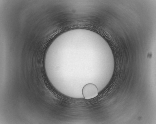 X0000096490364200801241216