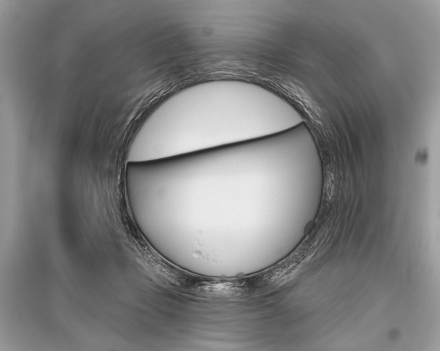 X0000096490365200801241216