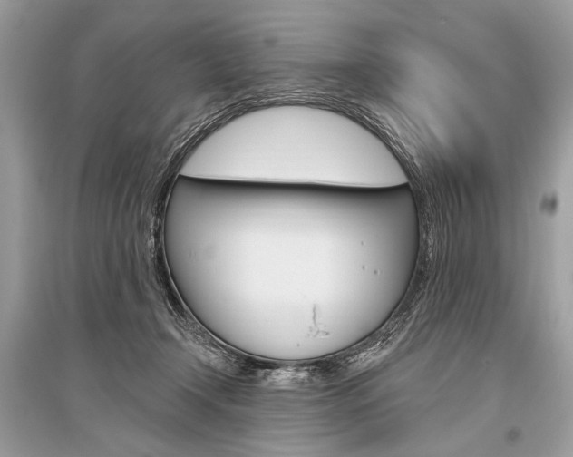 X0000096490366200801241216