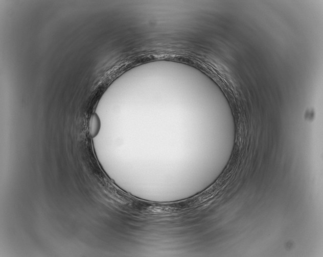 X0000096490367200801241216