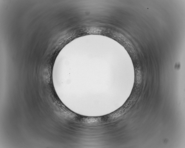 X0000096490370200801241216