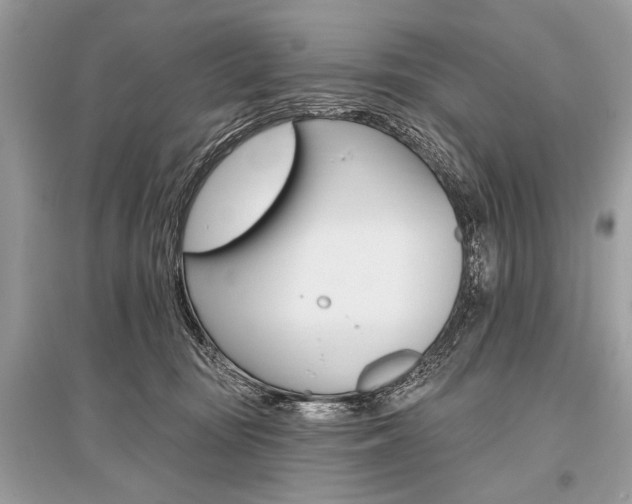 X0000096490371200801241216