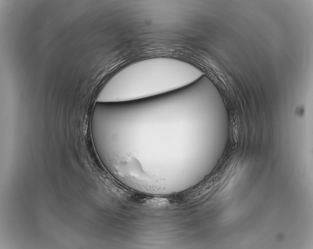 X0000096490374200801241216
