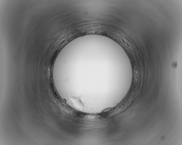 X0000096490375200801241216