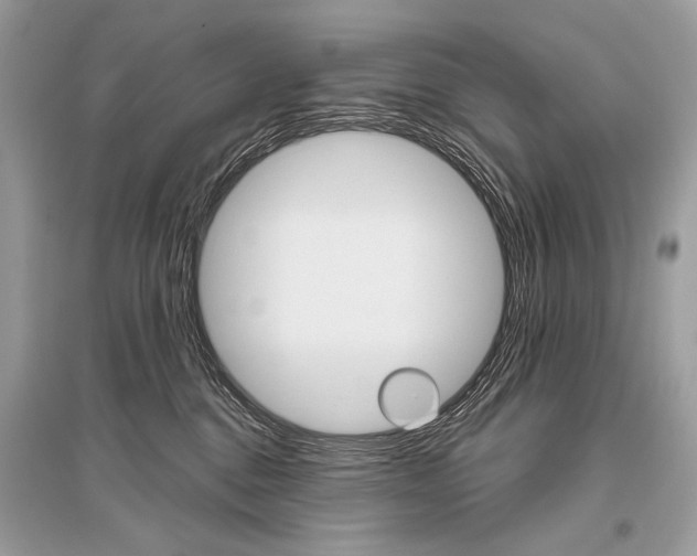 X0000096490376200801241216