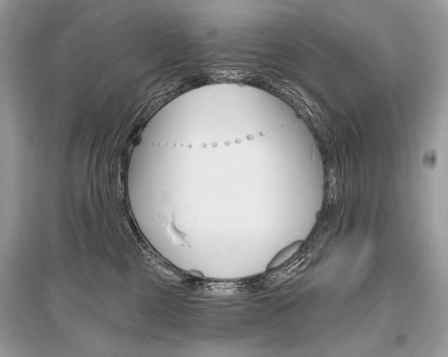 X0000096490377200801241216