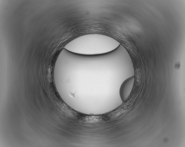 X0000096490378200801241216