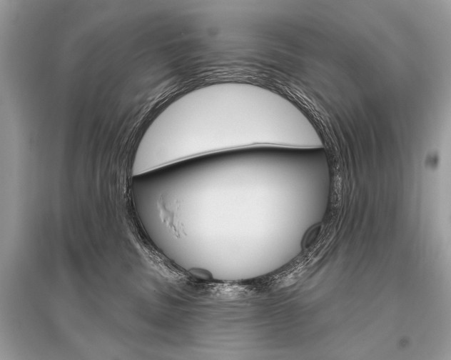 X0000096490379200801241216