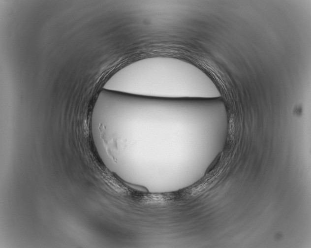 X0000096490381200801241216