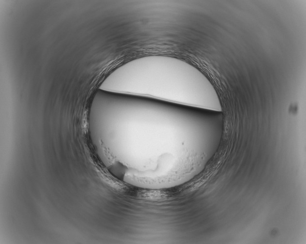 X0000096490383200801241216