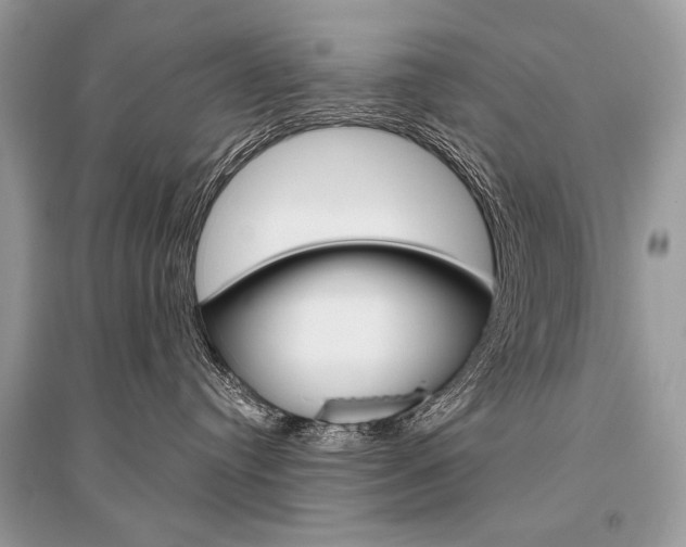 X0000096490384200801241216
