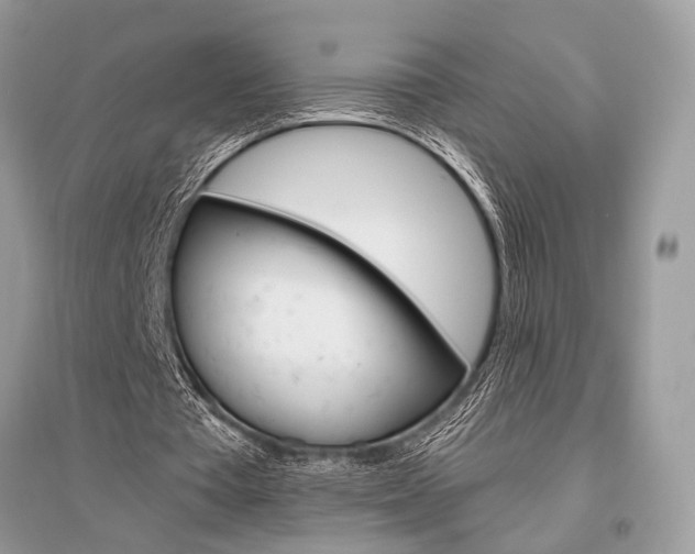 X0000096490385200801241215