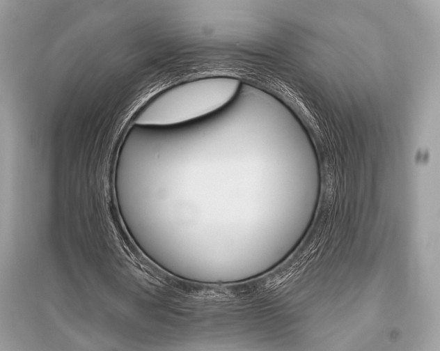 X0000096490386200801241215