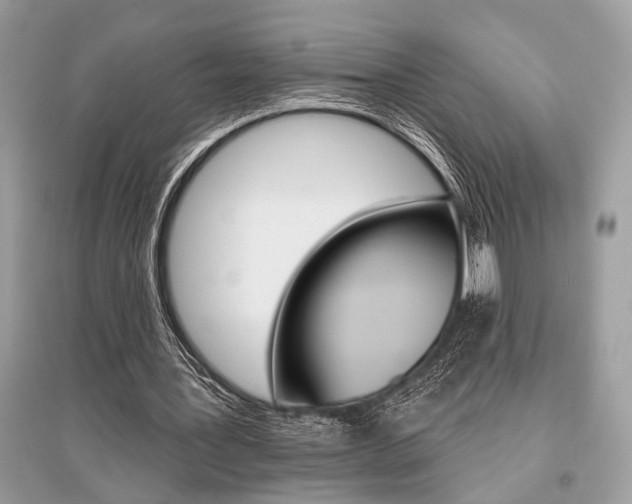 X0000096490387200801241215