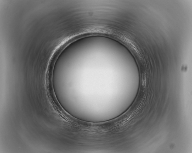 X0000096490388200801241215