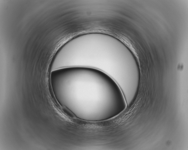 X0000096490389200801241215