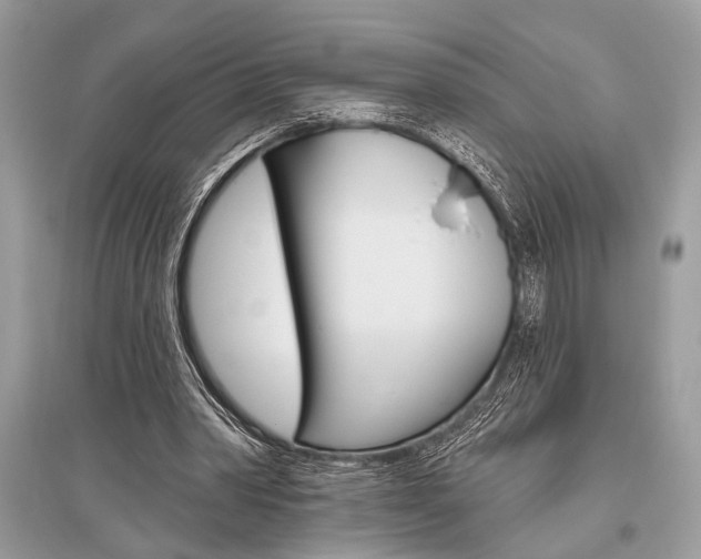 X0000096490390200801241215
