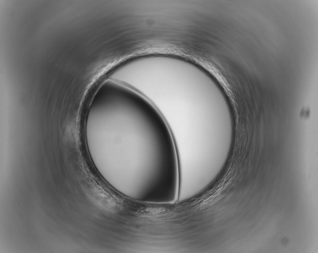 X0000096490391200801241215