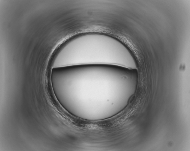 X0000096490392200801241215