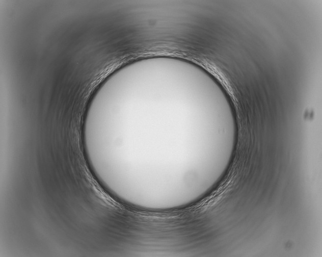 X0000096490393200801241215