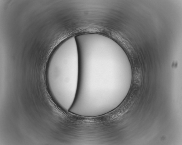 X0000096490394200801241215
