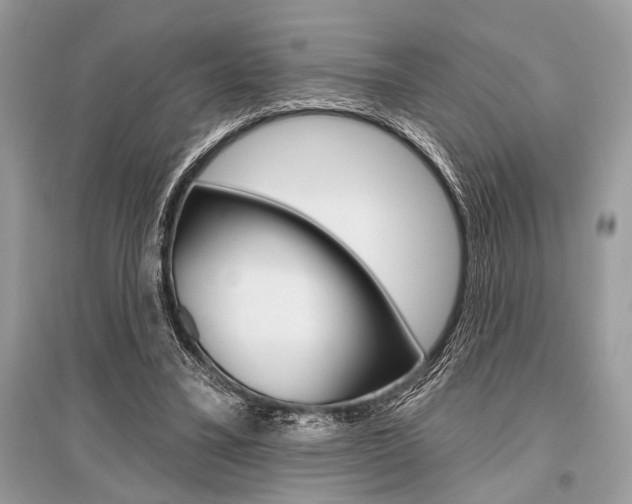 X0000096490395200801241215