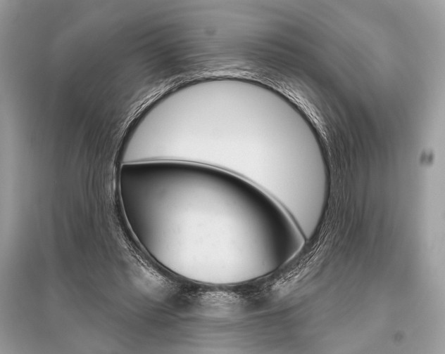 X0000096490397200801241215