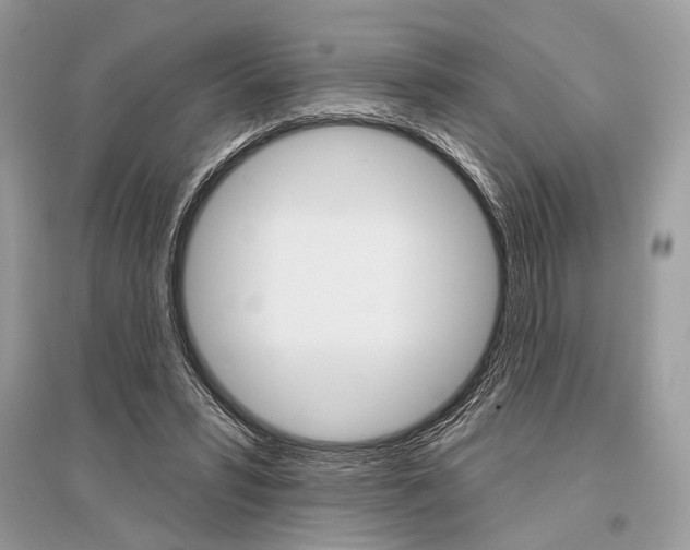 X0000096490399200801241215