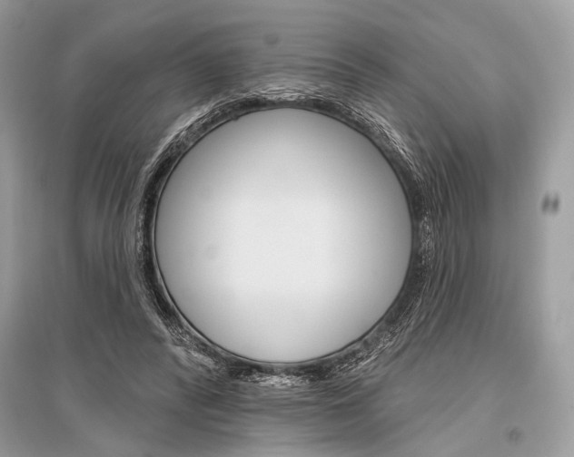X0000096490400200801241215