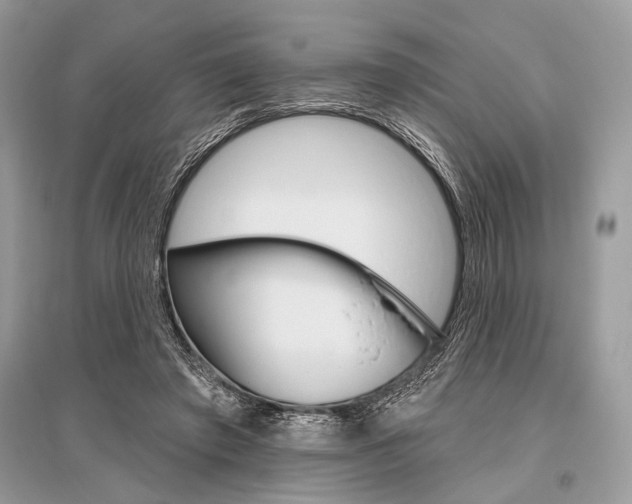 X0000096490401200801241215