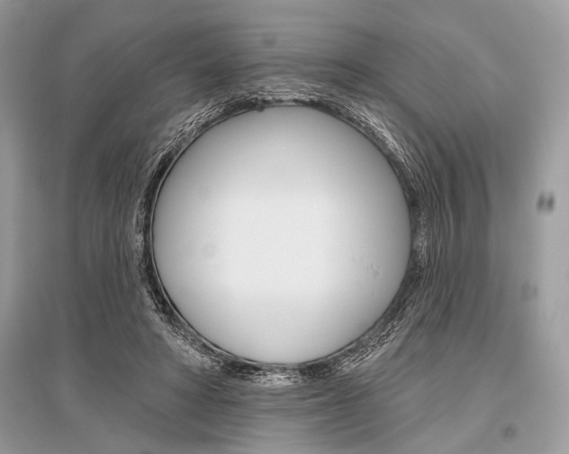 X0000096490402200801241215