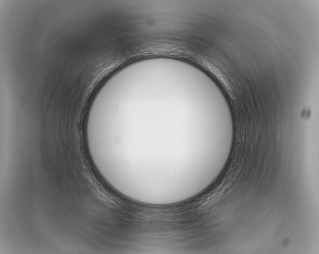X0000096490403200801241215